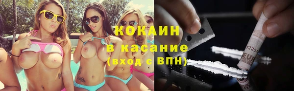 спиды Богородицк