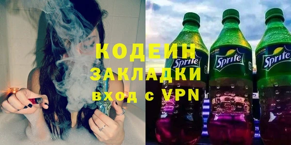 спиды Богородицк