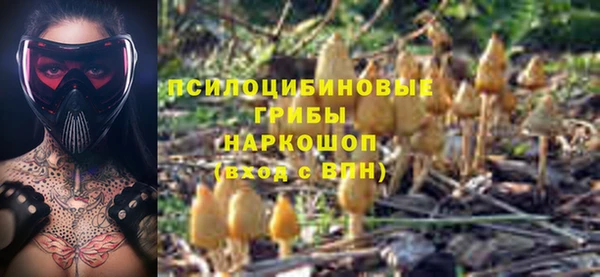 МДПВ Белокуриха
