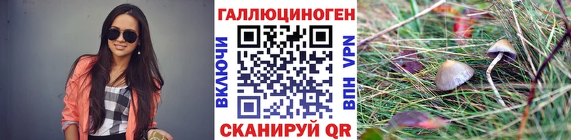 Псилоцибиновые грибы прущие грибы  Бирюч 